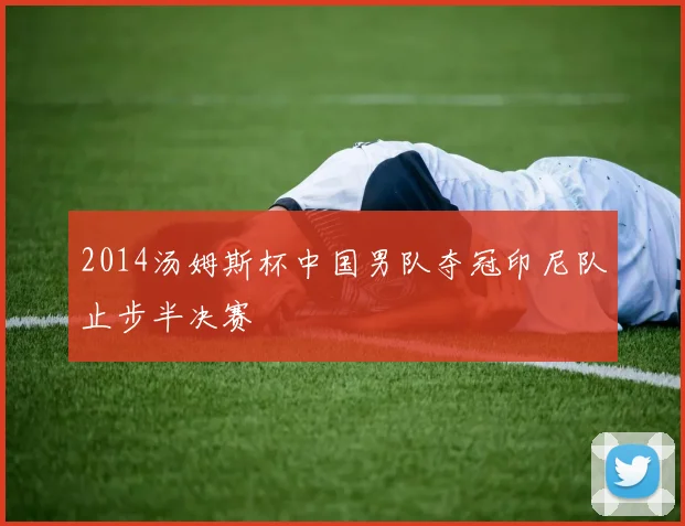 2014汤姆斯杯中国男队夺冠印尼队止步半决赛
