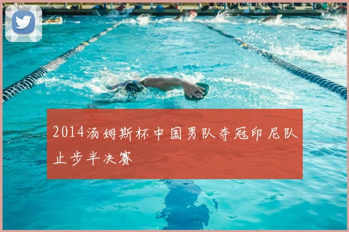 2014汤姆斯杯中国男队夺冠印尼队止步半决赛